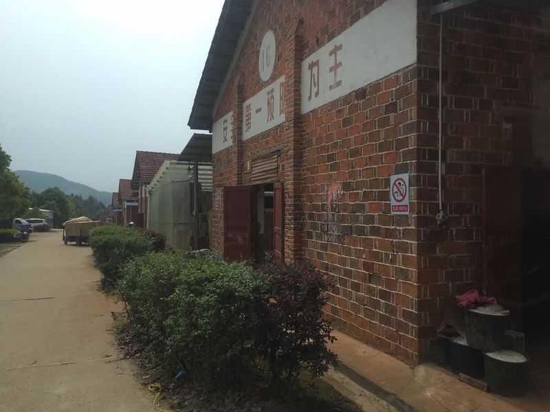 中国 Liuyang Mandarin Fireworks Co., Ltd. 会社概要