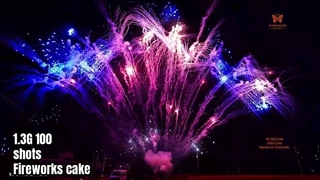 Liuyang 100 ショットプロフェッショナルディスプレイ花火ケーキ 1.3 グラム UN0335 花火