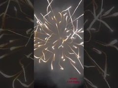 プロフェッショナル・ディスプレイ 花火 迫撃砲 砲弾 シェル パイロテクニック用品 6インチのディスプレイ・シェル