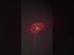 1.3g  pirotechnics パイロテクニクス パイロクラッカー 砲兵 サルート シェル 4インチ ディスプレイ シェル パイローク