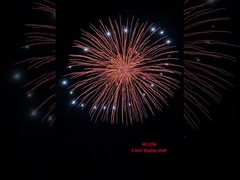 中国プロディスプレイ シェル ファイアワーク  pirotechnics 6インチディスプレイ シェルボール