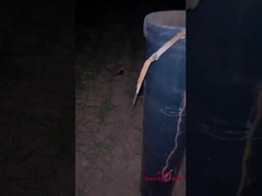 中国のプロフェッショナル・花火 新年の祝賀 6インチボールディスプレイシェル