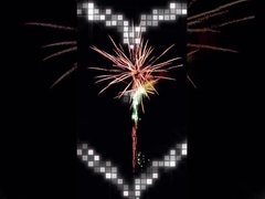 専門の火工術は49の打撃マレーシアの高貴な挨拶の花火を固める