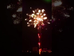 瀏陽市の火工術の花火は196の打撃の専門のケーキの花火の特殊効果示す