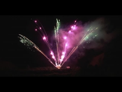 中国製 ピロテクニック 屋外 300ショット プロフェッショナル 花火 ディスプレイ 1.3g 扇風機形