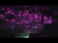 劉陽 マンダリンケーキ  pirotechnics 208 ショット プロフェッショナル ディスプレイ 花火 1.3g