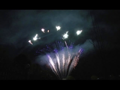 マンダリン ディスプレイ 90 ショット サルート  pirotechnics プロのケーキ パーティーのための花火