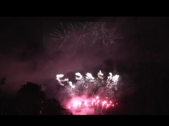 劉陽 56 ショット プロファイアワークス ディスプレイ 1.3g Un0335 祭り祝いに