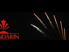 サルート  pirotechnics プロファイアワークス ディスプレイ 100ショット 1.3g Un0335