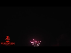 1.3g Un0335 プロフェッショナル・花火展示 / 100ショットケーキ 新年の花火