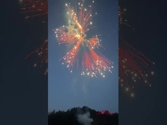 劉陽銀馬尾花火ケーキ 2024 中国工場 花火&花火 消費者ケーキ