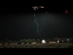 中国の花火 劉陽 46 ショット 消費者のケーキ 花火