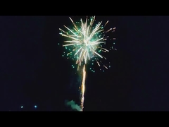 209ショットケーキ花火