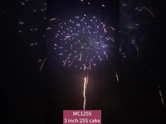 中国 25ショットケーキ 花火 祝いの集会のための花火