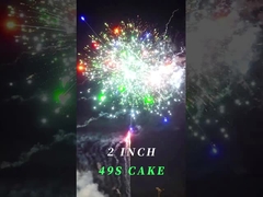中国人2inch 49の打撃のPyrotechnicケーキの花火は新年の花火をカスタマイズした