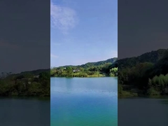 昼間は49の打撃の中国のケーキの花火祭典のための煙の花火を着色した