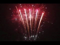 98の打撃の新年のPetardのPyrotechnic消費者ケーキの花火はカスタマイズした