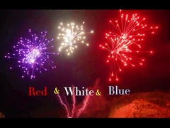 中国人 劉陽 プロ 108ショット ケーキ 花火 1.4g Un0336