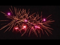 屋外20ショット 祝いケーキ  pirotechnics 扇風機形 カスタマイズされた1.4g