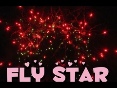 中国人のケーキ花火 25ショット 500G ピロテクニック