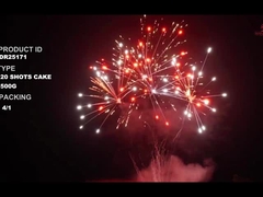 劉陽20ショット 500g カスタマイズされたケーキ 新年の花火