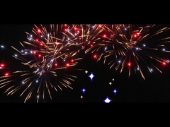 中国 25ショット ファンケーキ 祝賀用 オーダーメイド 屋外花火