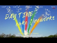 カスタム マンダリン  pirotechnics 日中のサルーツケーキ 花火 49ショット