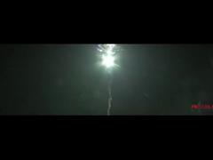 劉陽 屋外 100ショット サルーツケーキ 花火 CE承認