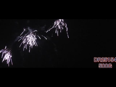 マンダリン 162 ショット 消費 ケーキ 祭りの祝いに花火