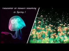 新年 おもちゃ 花火 水母 消費品 新品 花火 天空照明  pirotechnic