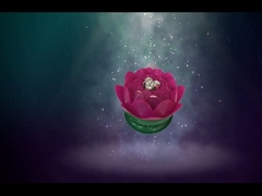 美しい地回り蓮花花火 / 誕生日玩具 花火