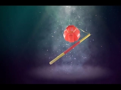 ライトナー・ロジャ 玩具花火 新年 美しい花火 挨拶