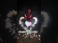 祝祭の屋外のおもちゃの花火の祭典のための魔法の蝶花火1.4G 0336