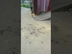 魔法のボール 玩具 煙火 0.03CBM 祝いの集会のための環境保護