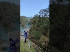 性別公開パーティー ポッパーコンフェッティキャノン ホリパウダーキャノン 結婚式