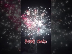 劉陽工場 20ショットケーキ 花火 華人 卸売 輸出 結婚式用  pirotechnics