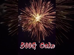 煙火 柳陽 煙火 2 インチ 12 ショット 500g 消費ケーキ 祝いの花火