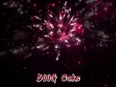 柳陽 熱売り オーダーメイド花火 工場 卸売 20ショットケーキ 花火 中国 500g