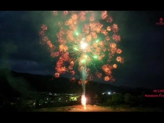 マンダリン 花火 1.3g Un0335  pirotechnics プロフェッショナル ディスプレイケーキ 屋外花火