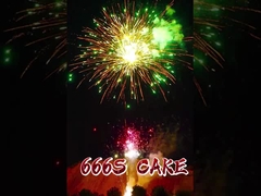 新入国 ファイアवर्क