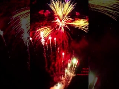 工場 劉陽 マンダリン パーソナライズ 178 ショット  pirotechnics 1.4G 消費ケーキ 新年の花火