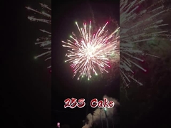 瀏陽マンダリン工場卸売紙花火 1.4g 煙火 2インチ 25発 ケーキ花火