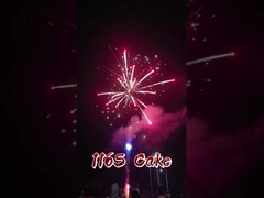 劉陽 マンダリン 花火  pirotechnics 116 ショット 消費者 卸売 ケーキ 花火 新品 花火