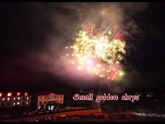 新入国 ファイアवर्क