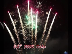 中国語 0.8 インチ 200ショット 熱売り 消費者ケーキ 結婚式用花火