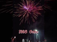 2025 中国工場 100ショット 紙ケーキ花火 FAFBWL 卸売  pirotechnics 新品花火