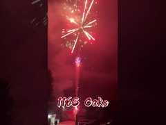 瀏陽工場 116 発 ショット 花火 卸売 火工品 中国屋外ケーキ花火