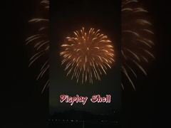 高品質の瀏陽1.3Gプロフェッショナル迫撃砲花火ディスプレイ大砲シェル花火