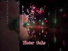 中国産 劉陽 マンダリン オーダーメイド 1.4g 消费者用 花火 水ケーキ 花火ケーキ