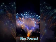 工場 0.8 インチ 300 ショット 1.3g プロのケーキ 花火展示 花火  pirotechnics サルーツ